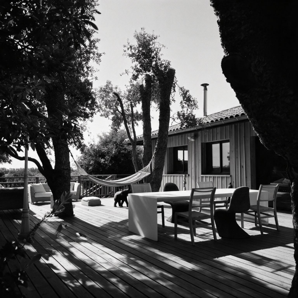 réalisation d'une terrasse en bois par le charpentier william seube dans les landes